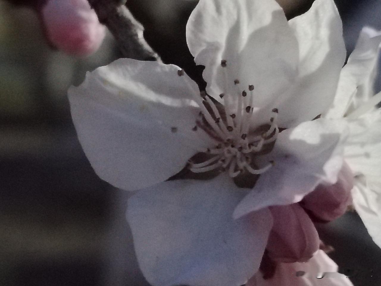 七律   自遣

世路多磨意自平，任他尘俗扰浮生。
欺言冷语何须辩，辱态轻姿不必