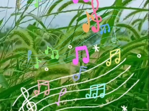 快来看看我新换的主页背景吧