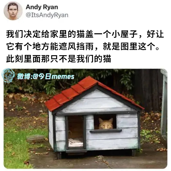 你好（ItsAndyRyan）今日meme[超话] 今日memes ​​​