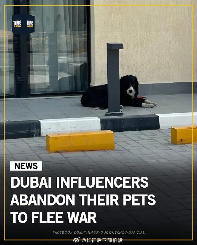 以美袭击伊朗2026年3月初，伊朗导弹袭击阿联酋后，数千名外籍人士涌向迪拜逃离冲