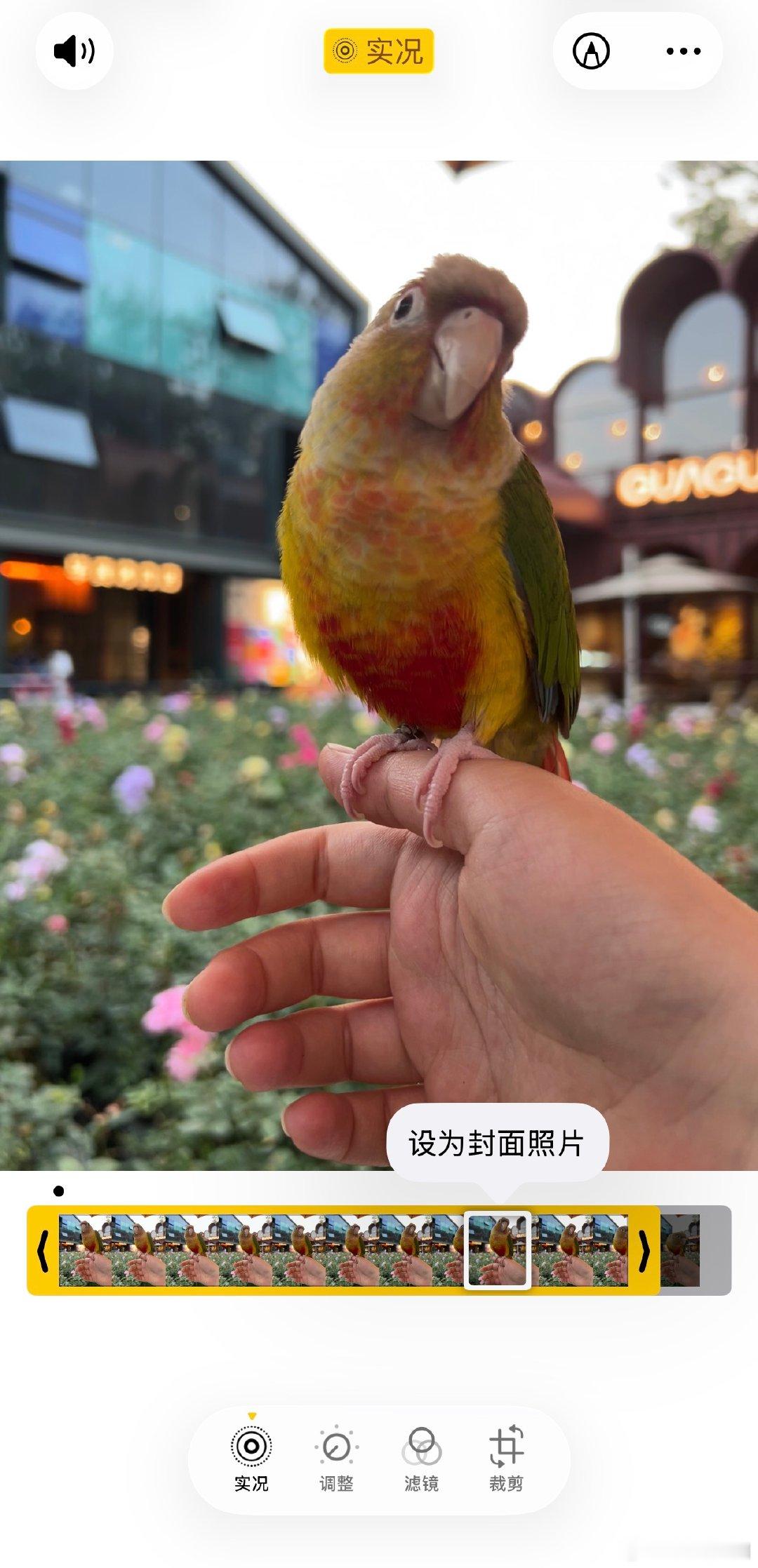 【苹果回应实况照片毁了小猫苹果称实况封面图是系统判断】】6月4日，“苹果实况你要