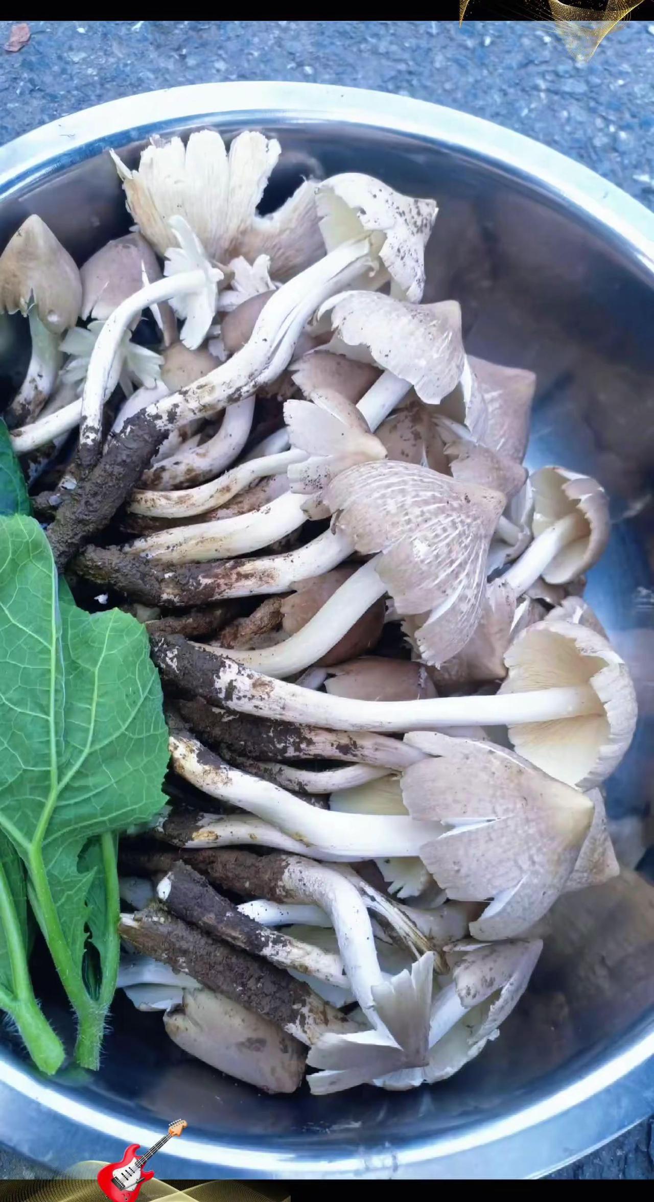 好食材才能炖出好味道 土味新鲜食材