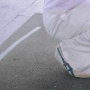 早安心语 今天也要像向日葵一样，迎着光生长。哪怕只是微小的善意，也能让平凡的日子