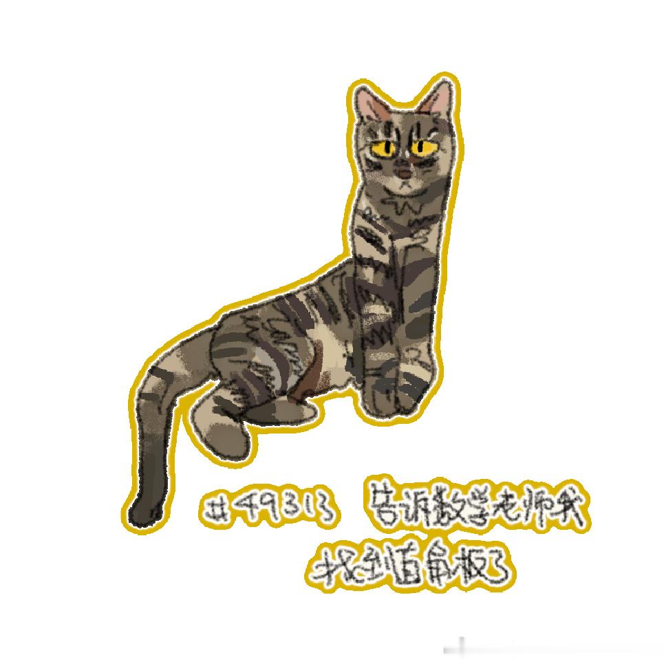 49381【丑猫】厕所终于通了，丑猫之力厚积而薄发丑猫卢浮宫
