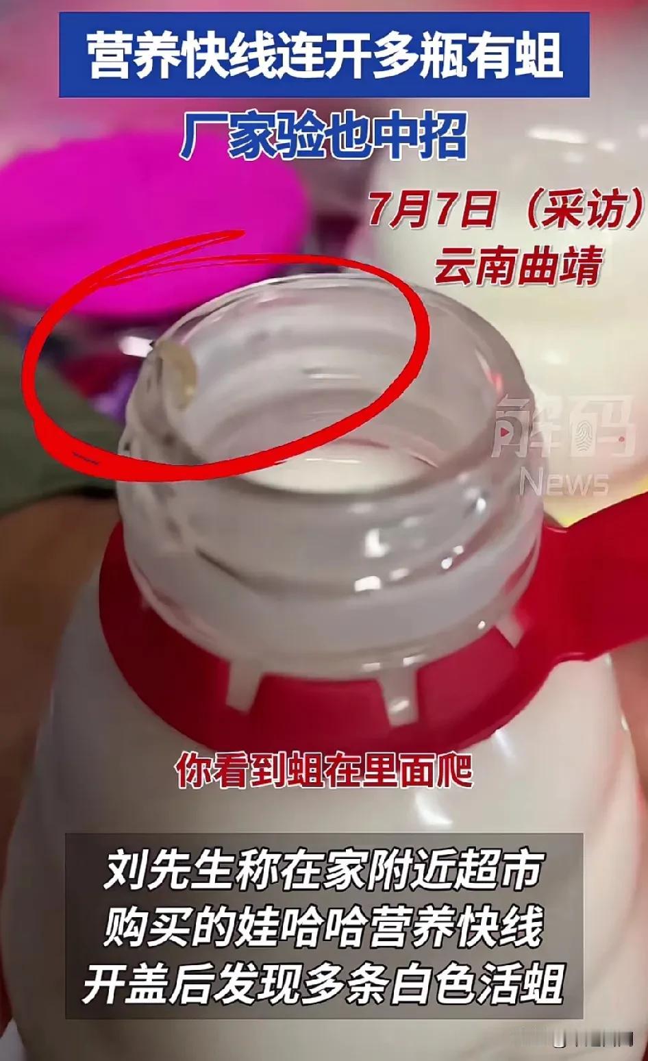 营养快线连开多瓶有蛆厂家验也中招 ？
刘先生在家附近超市买的营养快线发现蛆虫，然