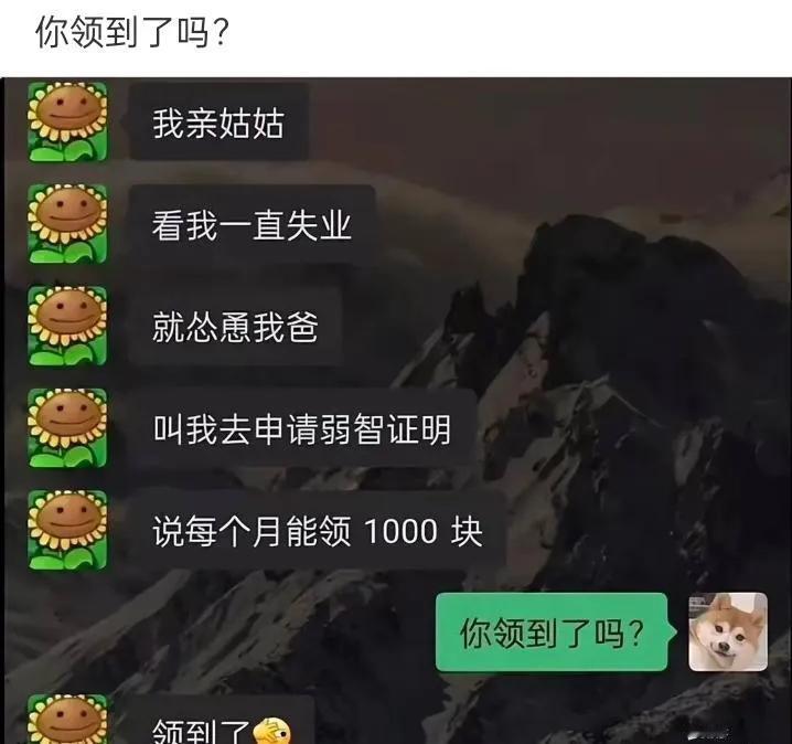 我领到了