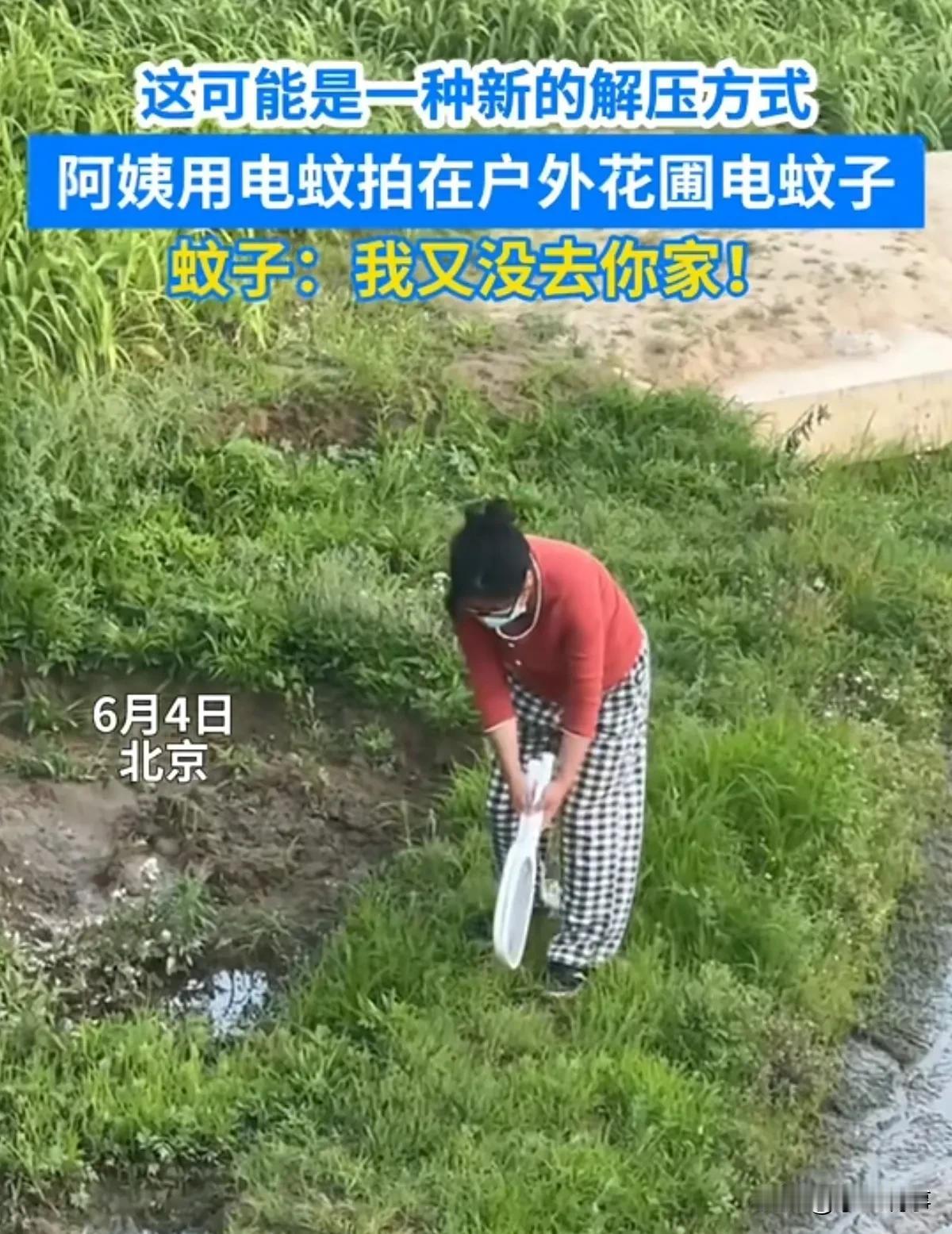 北京大妈手持双电蚊拍户外灭蚊，虽远必诛！

6月4日，北京有人拍到一名大妈手持两