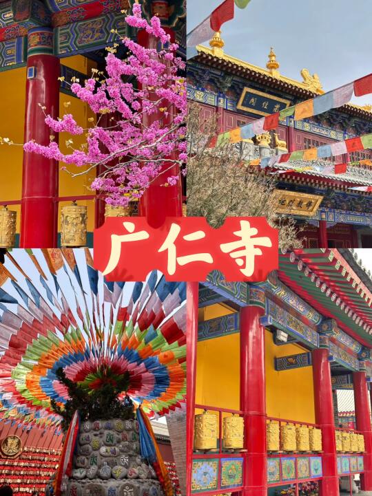 西安广仁寺🏯Live图的意义🌸