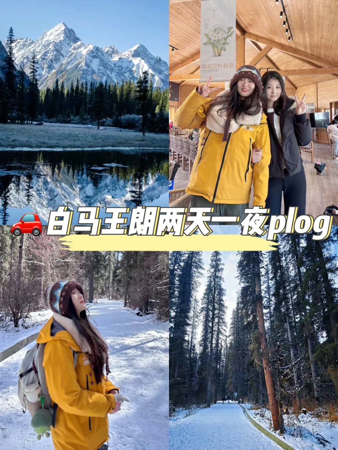 西安2天1夜🚄白马王朗｜体验原始森林雪山