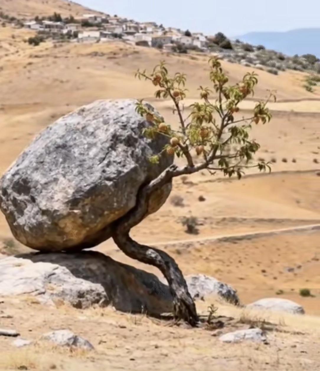 当下都难，撑住了就能活出一片天！
