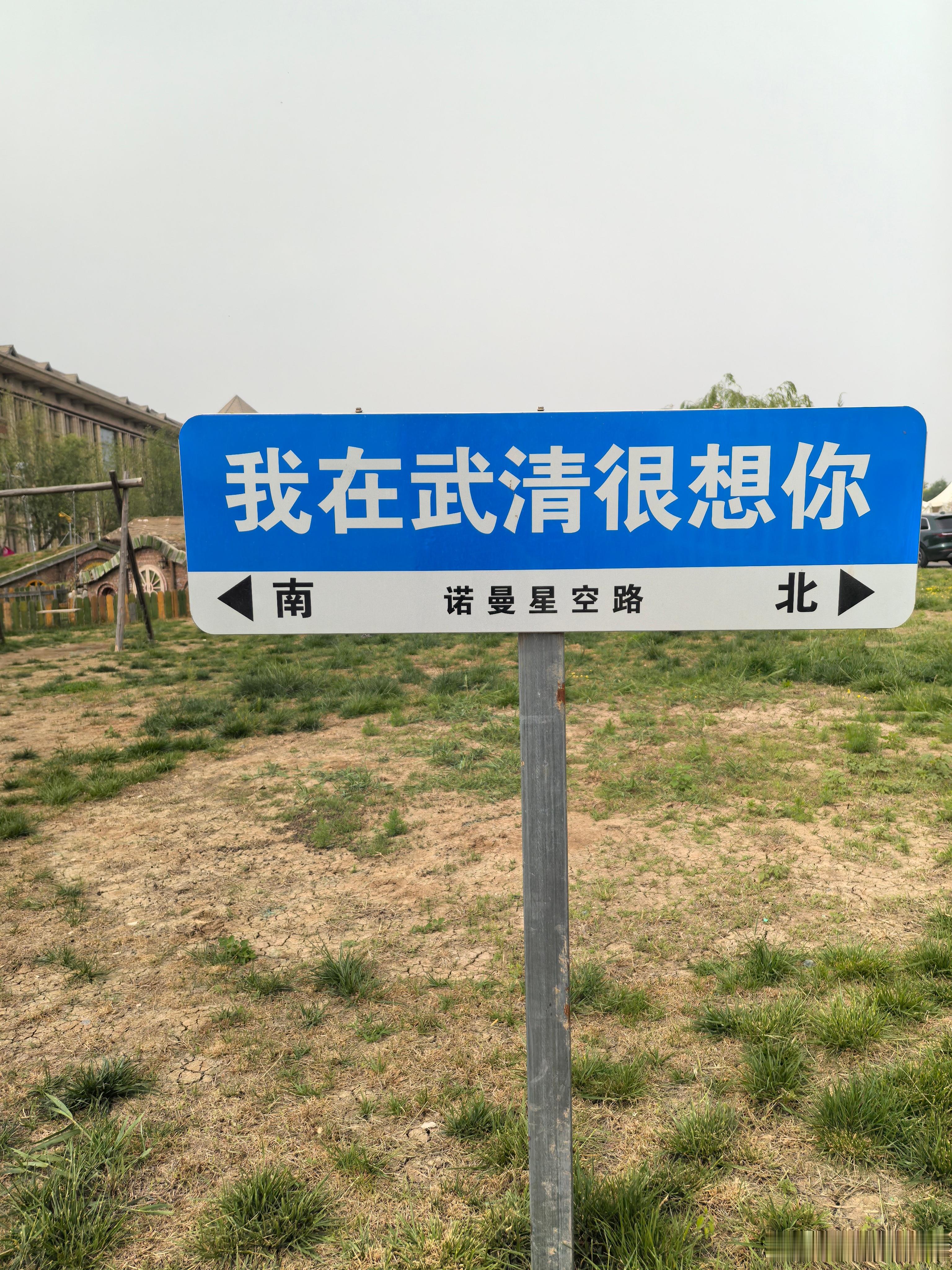 津彩绽放点赞天津 孔雀开屏点赞天津幸福武清