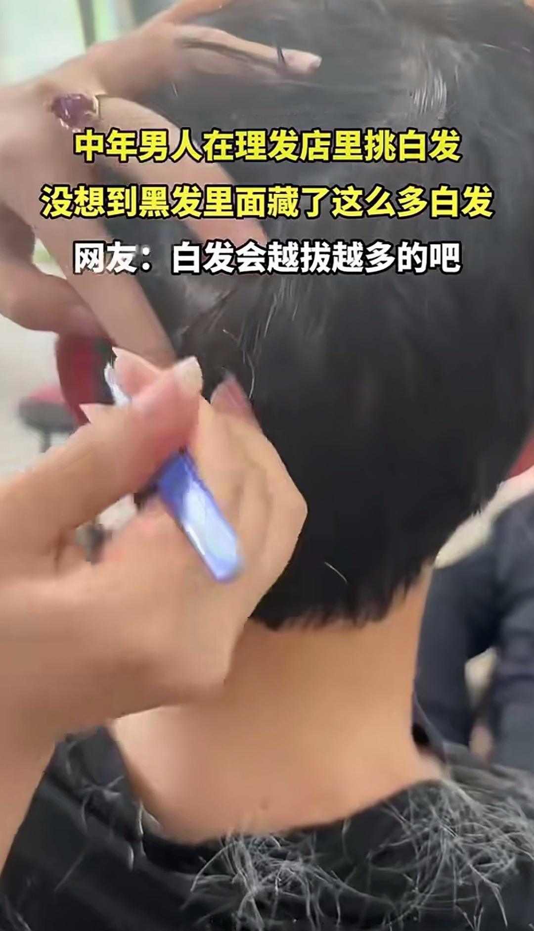 中年男子理发时被挑出诸多白发，该剪还是该拔？
谁能体会，理发时理发师挑出一撮又一