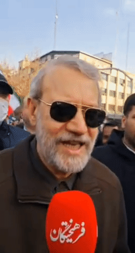 伊朗，最高国家安全委员会主席阿里·拉里贾尼走在支持的人群，经过一周的压抑，他非常