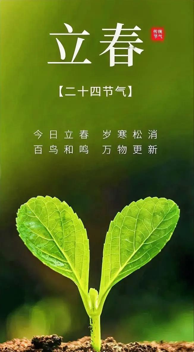 今日立春，快乐迎春！
立是开始，春是希望。
一缕春风拂动，
万物欣欣向荣。
祝新