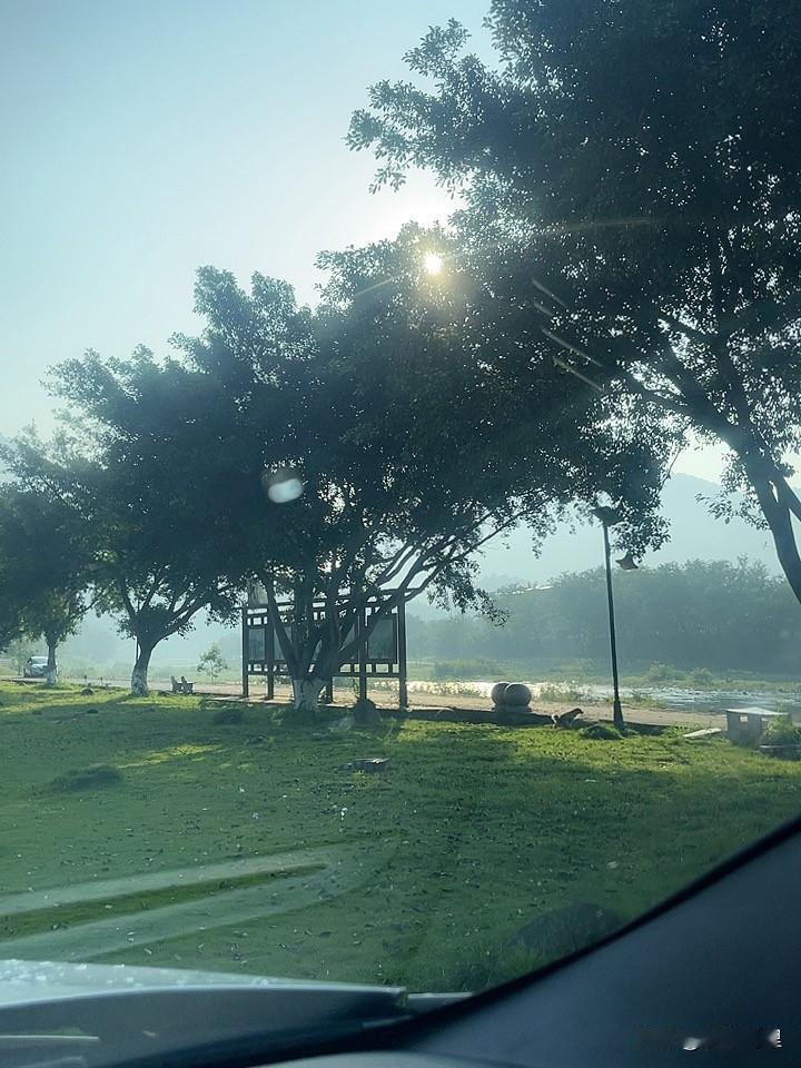 记录我的2026阳光洒满绿草地，静享自然之美。