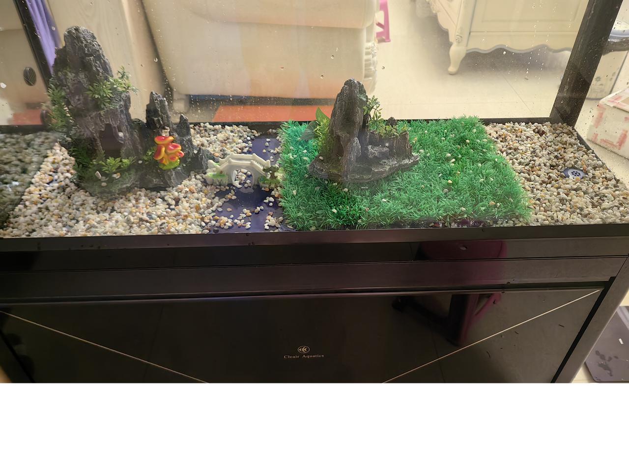 “世上最危险的关系，就是夫妻关系；夫妻生活是肉体上的生活，如果夫妻没有了身体关系