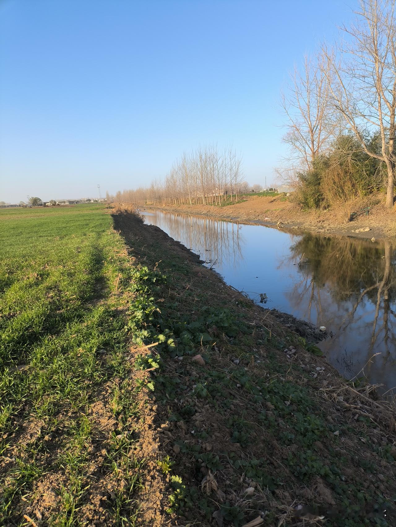 难啊！人活在这世上，被动地受环境里人、事、物的辖制，活得既累又苦，真的是苦不堪言