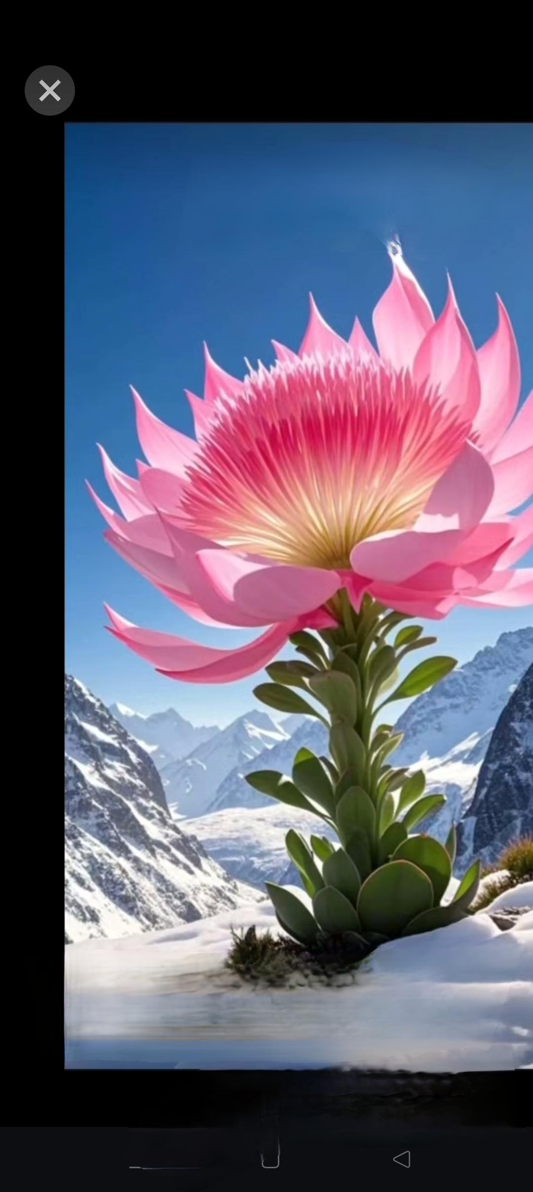 此刻是2025年，一个或许已被你淡忘的普通午后。我正坐在书桌前，想象着两年后的你