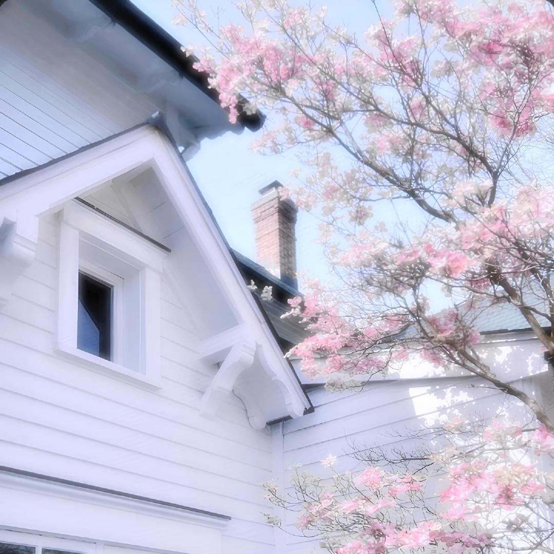 🌸樱の恋໒꒱ 粉色背景图 WeChat背景图 樱花 紫色樱花 粉色樱花冬天的樱