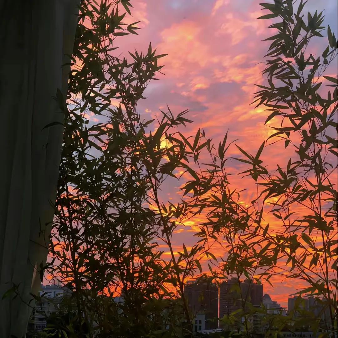 睡眠浅
早醒是我的常态了。

天亮了就出门遛狗去
却发现了别人的秘密。

路过酒