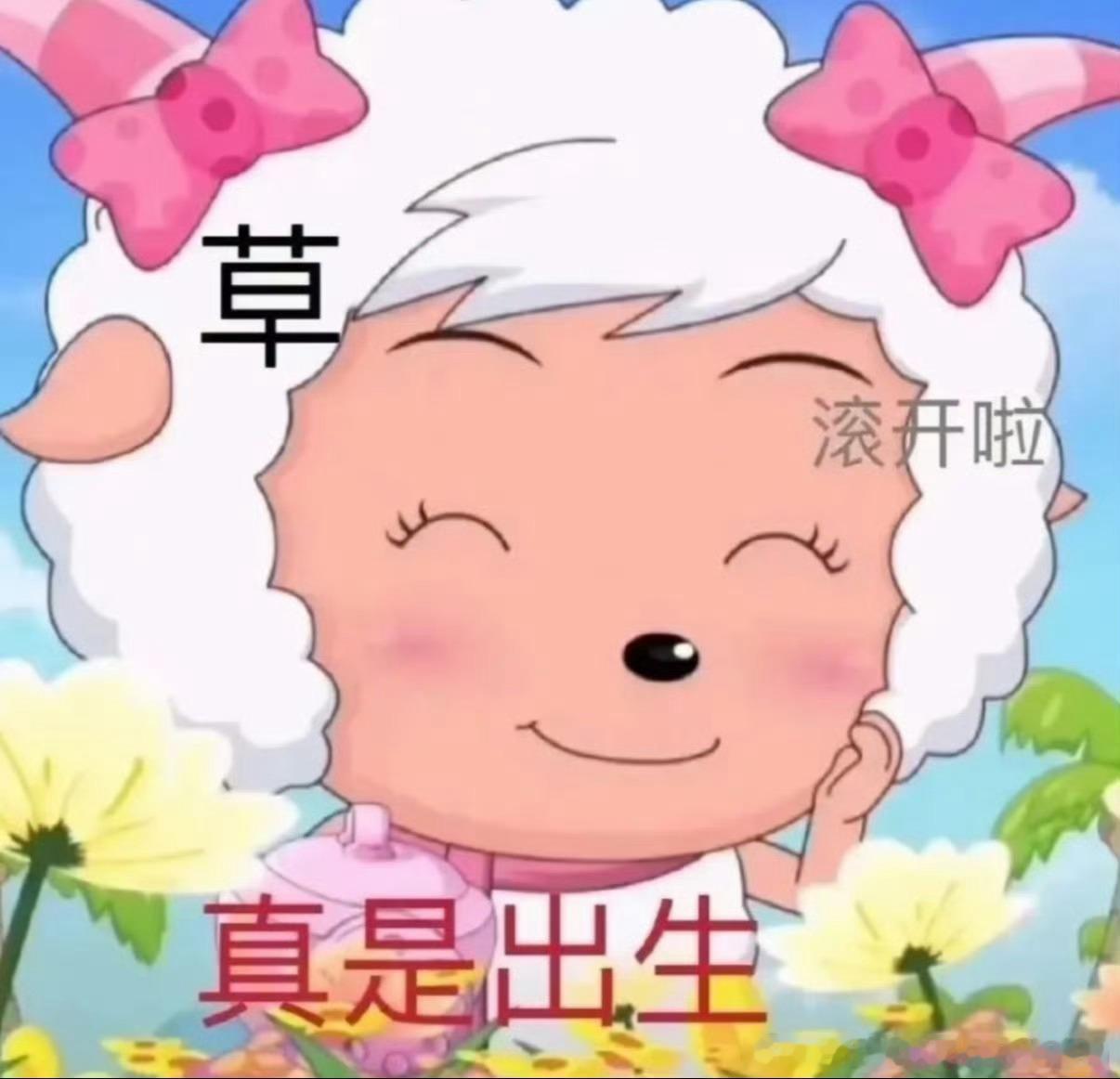 二代团队可以直接丝了敷衍艺人不说次次套用模板直接用过的给成员去使用，能无头脑的每