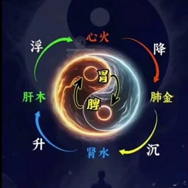 饮食不节伤及中土，则升降失序己土不升，则抑遏乙木生发之性而致木郁，乙木郁滞则横克