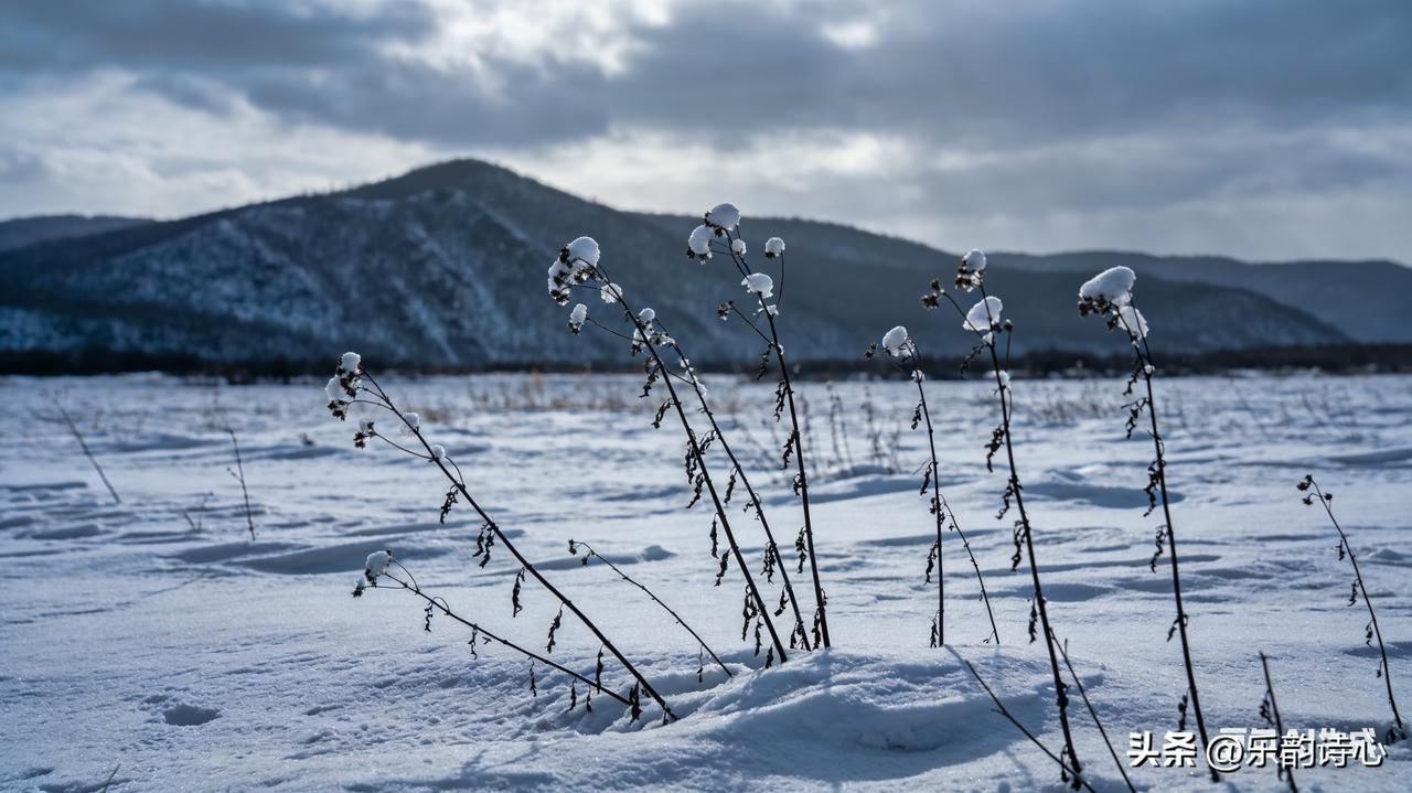 《北地惊蛰》乐韵诗心原创诗词:
三月初临惊蛰到，
北疆残雪映寒梢。
风摇瘦柳催新