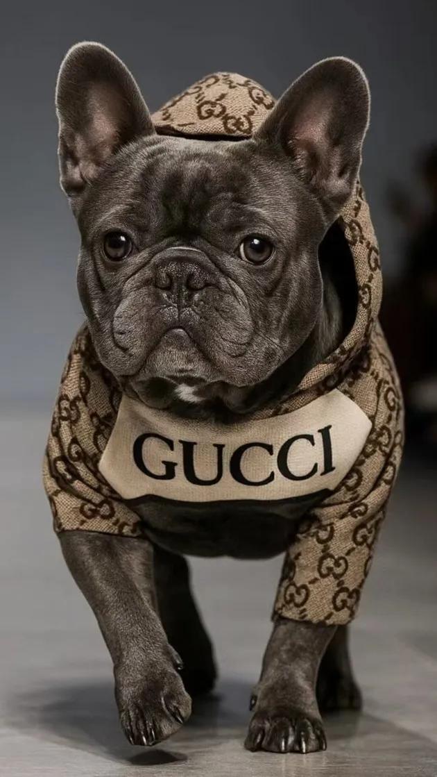 昨晚没睡好觉，让那个倒灶的高早稻苗气的！这要是战争发动起来，得死伤无数人！
现在