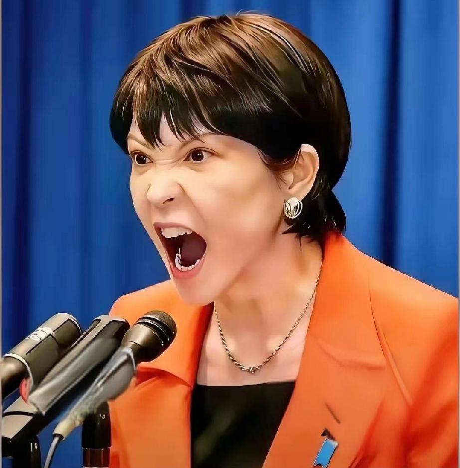 日本传来消息

5月26日新消息，日本媒体已公布至少67条通信记录证据，证明高市