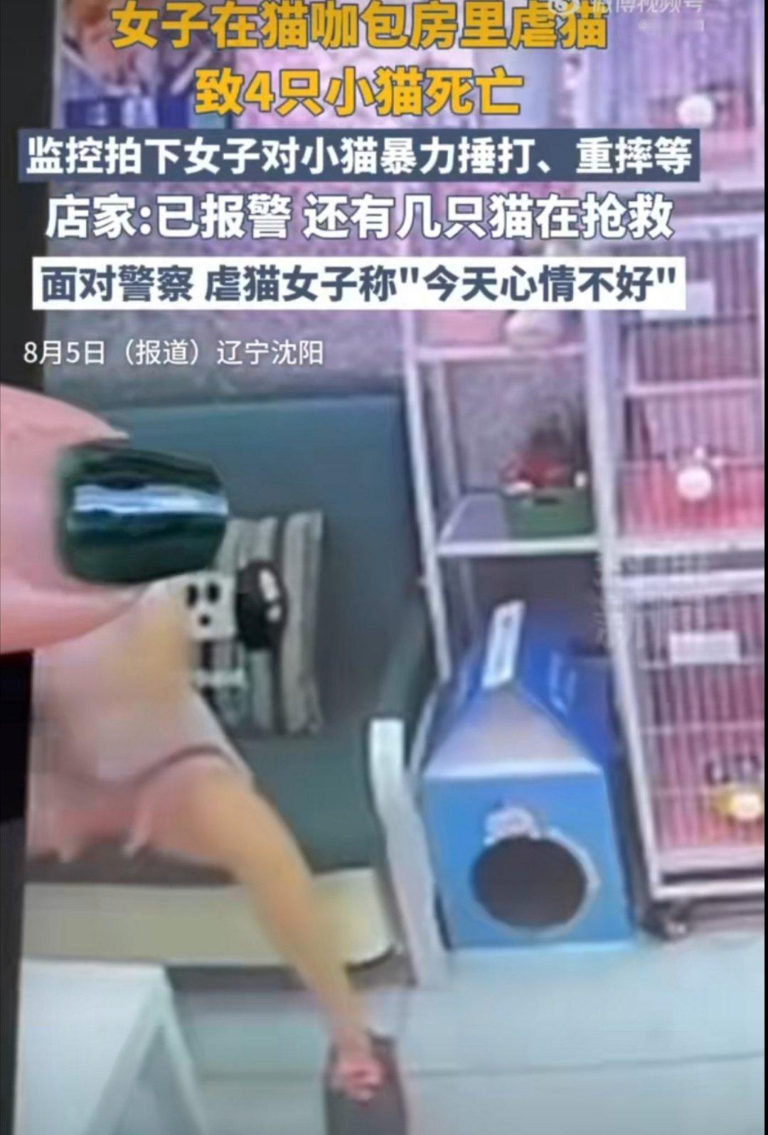 女子虐猫致4死或判3年我很少那么支持一件事，不管是男是女出现这种行为的，都是内心