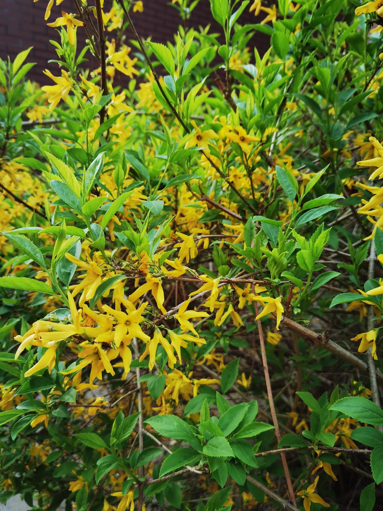 送上一波美景，愿大家都有好心情