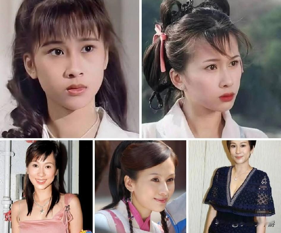 文颂娴，中国香港亚洲电视力捧花旦之一，外形娇小玲珑，小家碧玉，演技亦可，古装时装