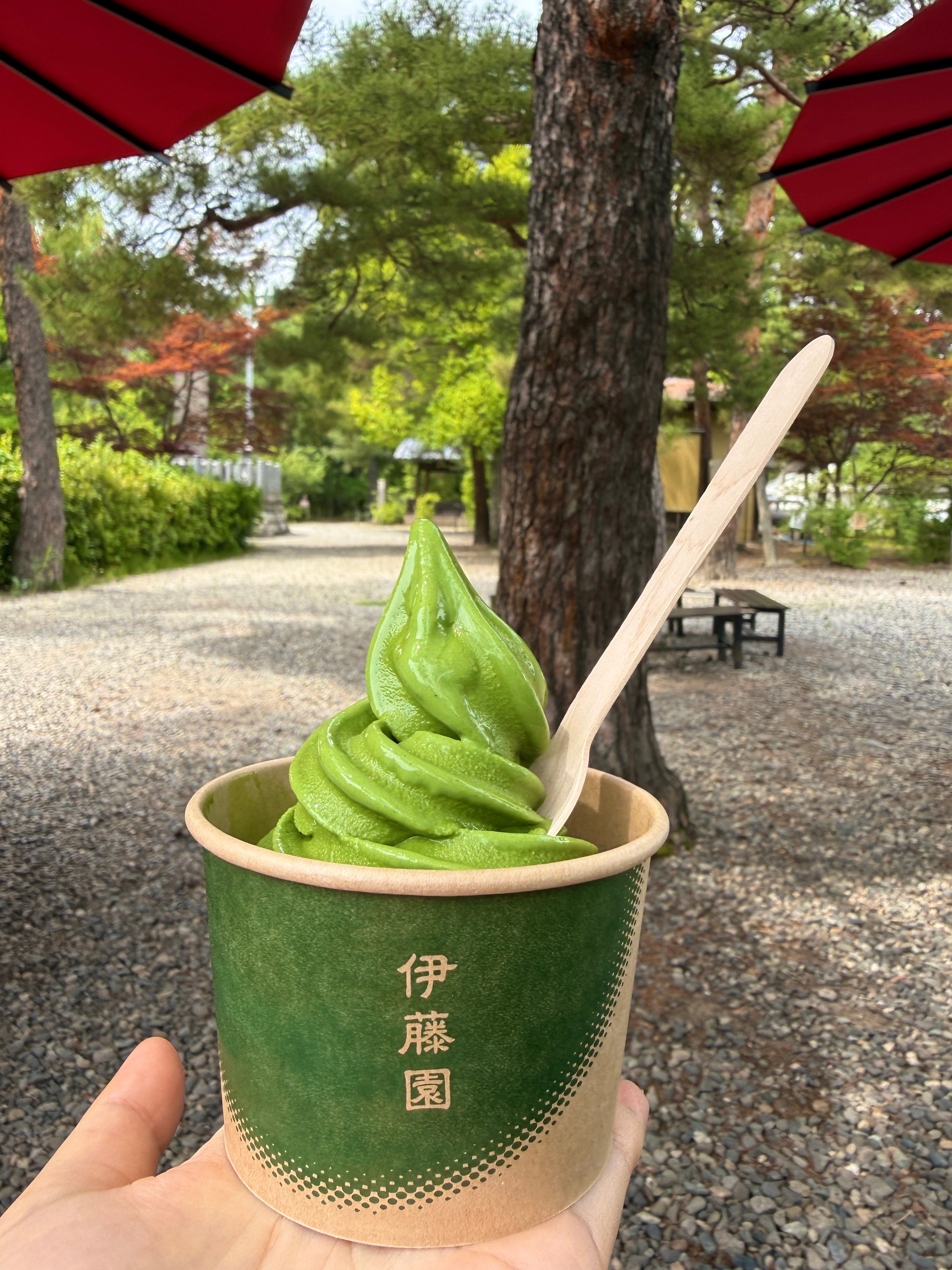 我俩改变了行程，决定提前一天回东京，今晚再住一晚，明天回，这里对于小孩子来说的确