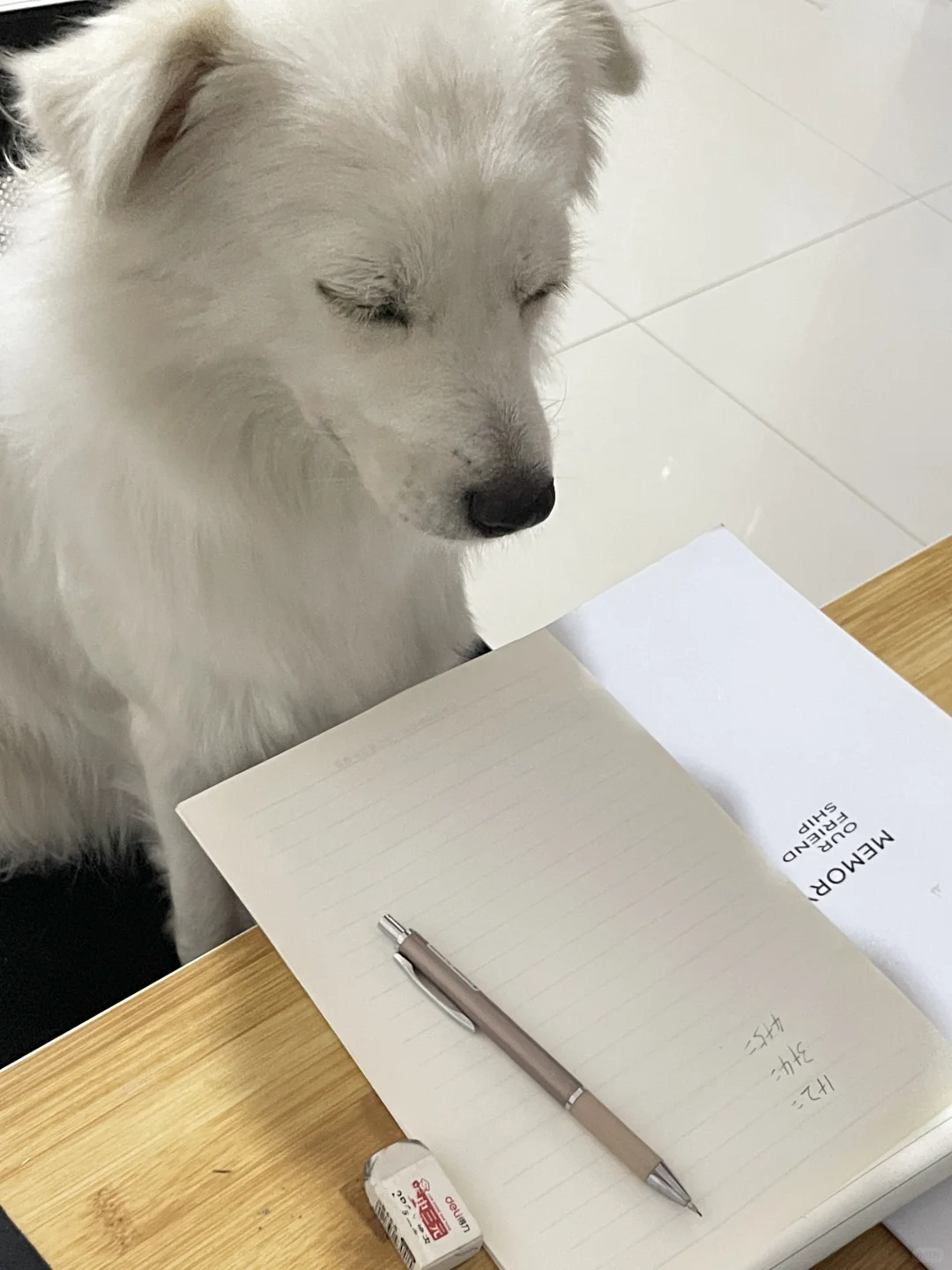 马上开学了 写作业还是这死出