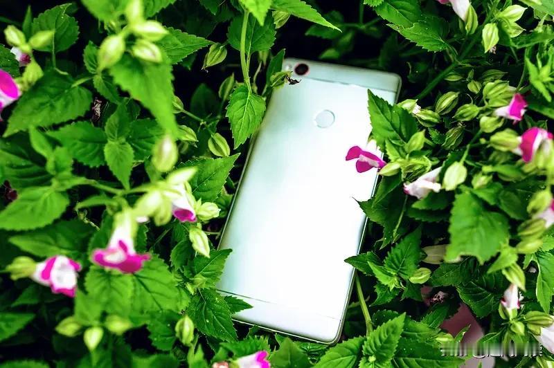 赌博欠了200亿后消失不见，他咋在印尼重新崛起的呢？
他重新崛起能分成三步关键操