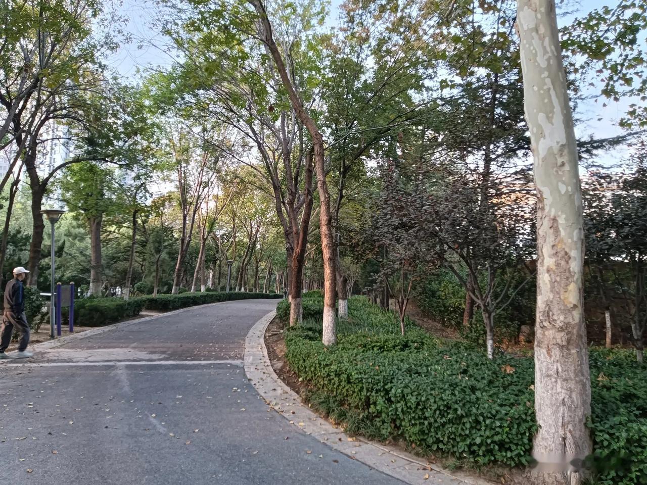 #秋日生活打卡季#🍁秋日生活，别样美好！
 
在这个季节里，我们可以打卡各种有
