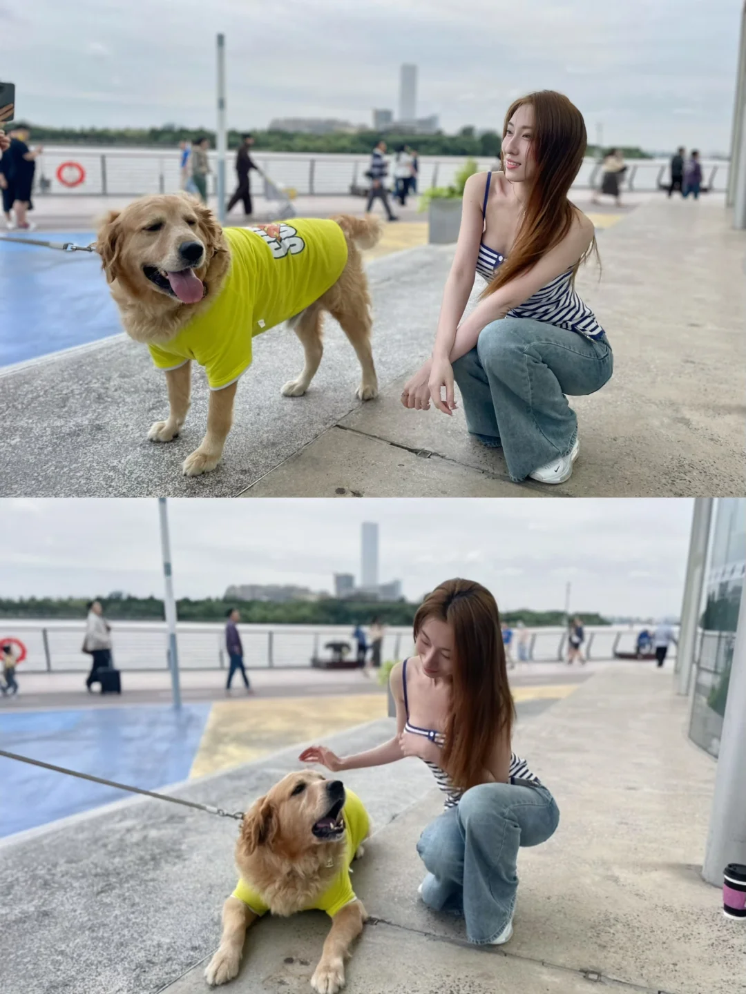 假期最后一天🐶🐱在徐汇滨江和猫猫狗狗一起