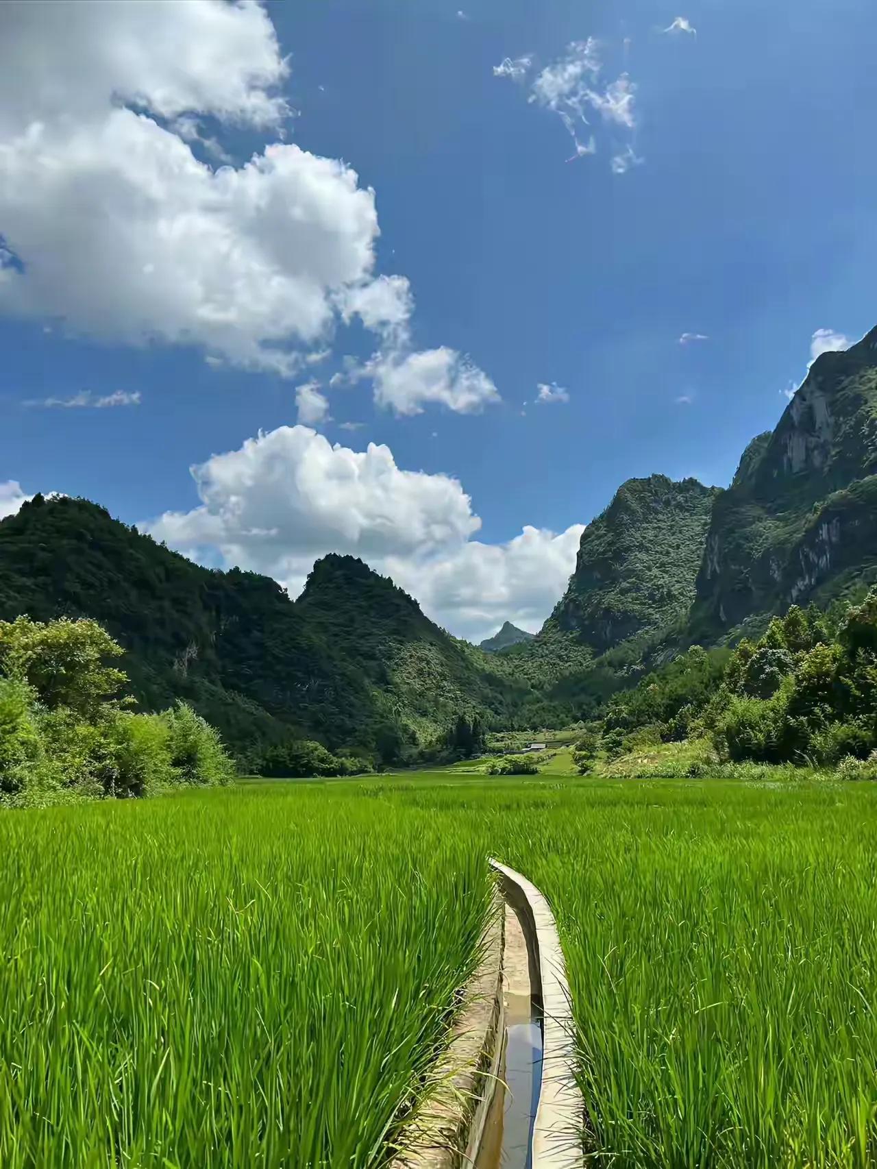 绿色渲染的盎然生气。
借网友的图片发头条，谢谢了！
看绿水青山，多美丽！