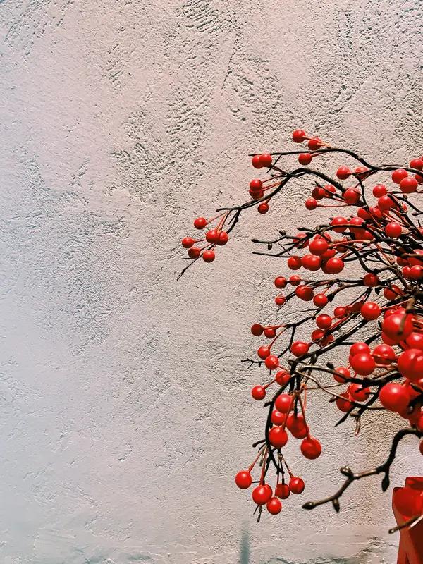 希望你，疼的时候会哄自己，累的时候敢停下来。愿你学会治愈，也始终相信美好——做自