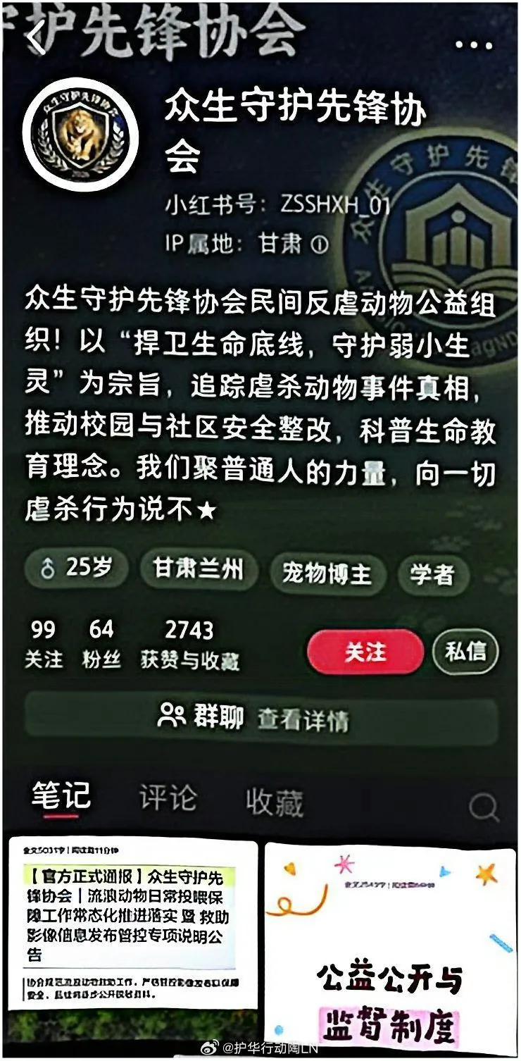 12岁小学生罗某，受到猫狗僭越价值观影响，利用AI杜撰野鸡NGO【众生守护先锋协