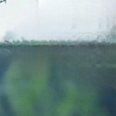 早安 早安，风来听风，光来向光，盛夏万事可期 