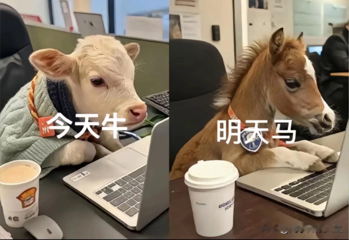 特别实在的话：
“都说今年生意不好做，钱难赚。可我看到，店铺依然开的热火朝天，赚