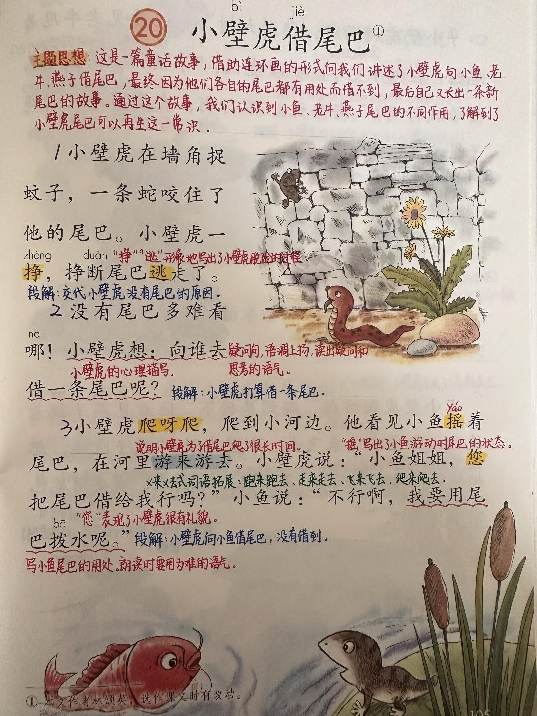 一年级下册语文，第八单元阅读20《小壁虎借尾巴》课堂学习笔记，收藏复习一年级语文