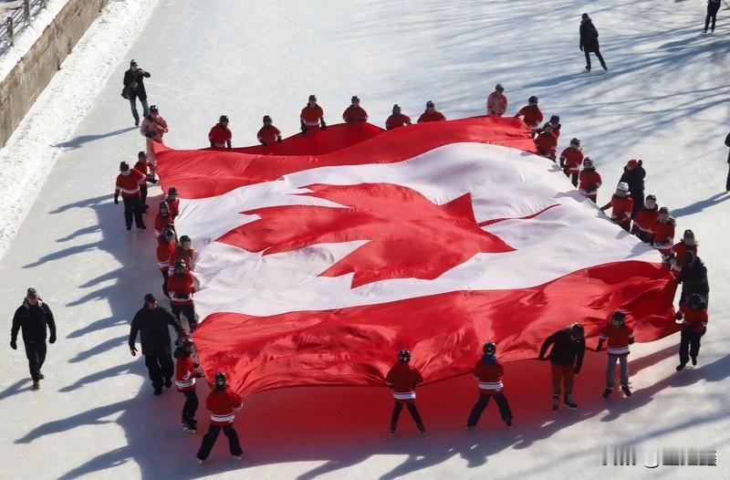 加拿大遍地是资源，军队才6万，为啥美俄都不敢动它？

别以为它人畜无害是因为“和