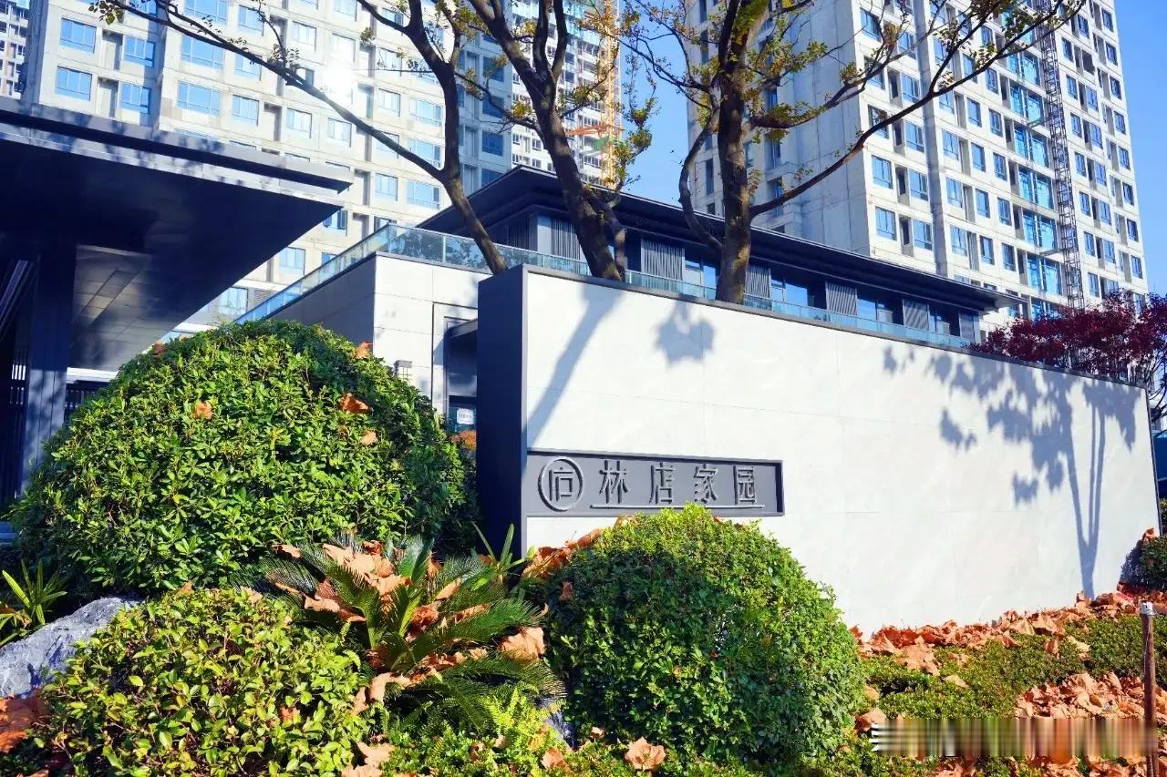 合肥最高端的回迁小区，庐阳区林店家园。
这让那些商品房小区情何以堪，还天天说在卷