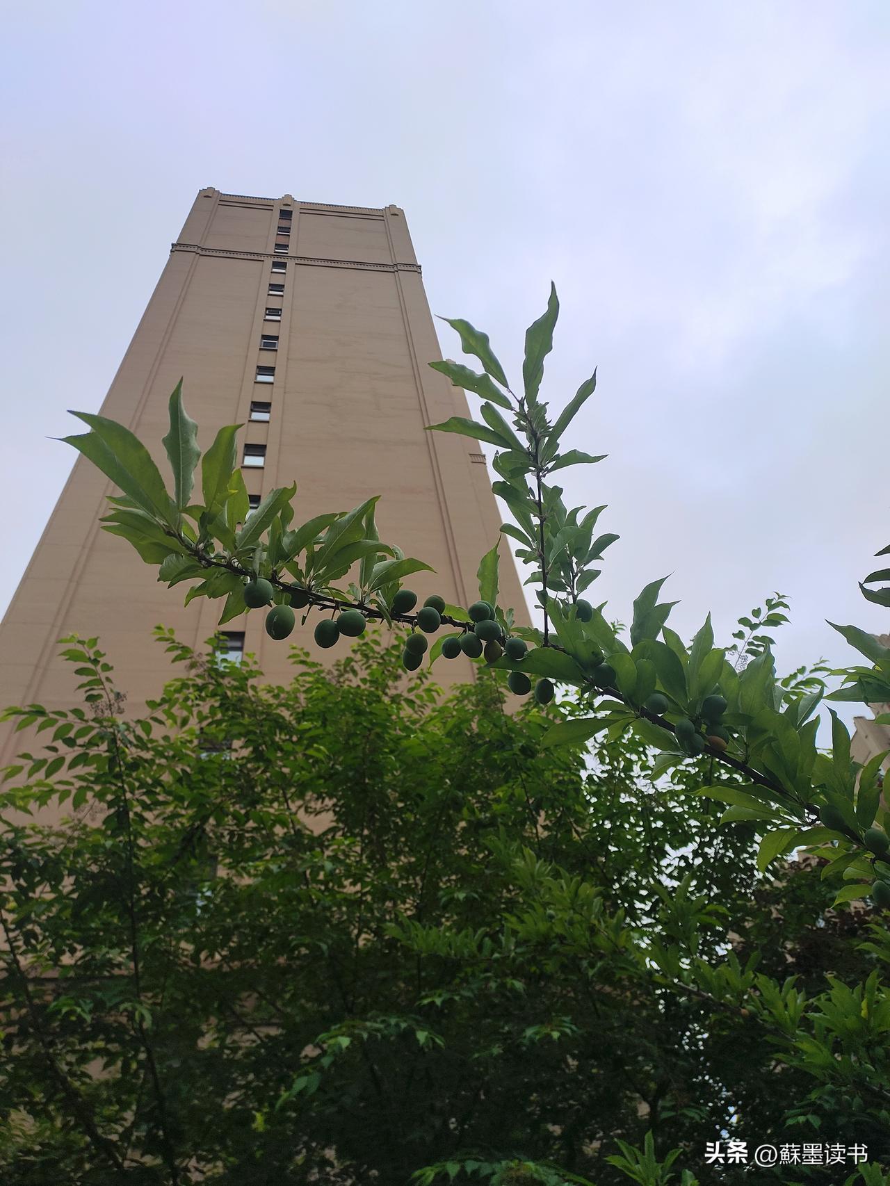生活的重心，别乱了章法：
养心第一，
修身第二，
持家第三，
谋事第四
人是靠心