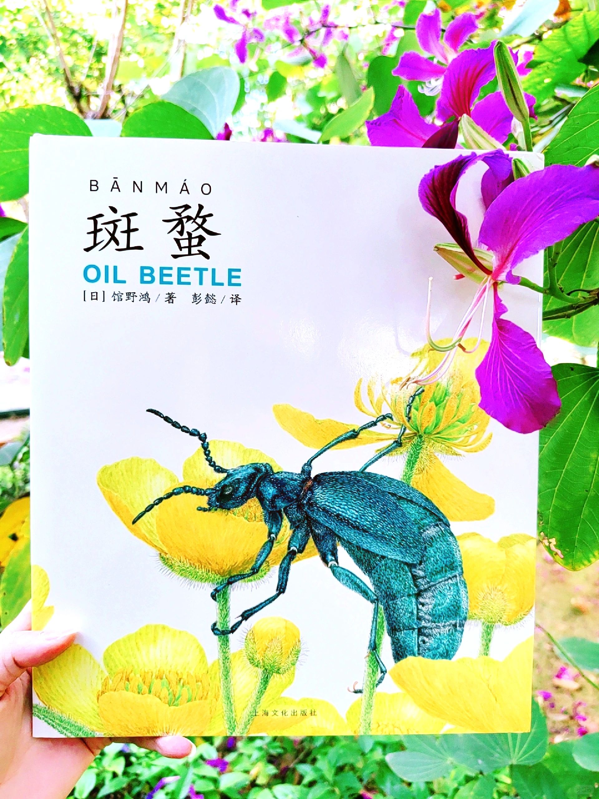 读的是昆虫绘本，感悟的是生生不息的生命力