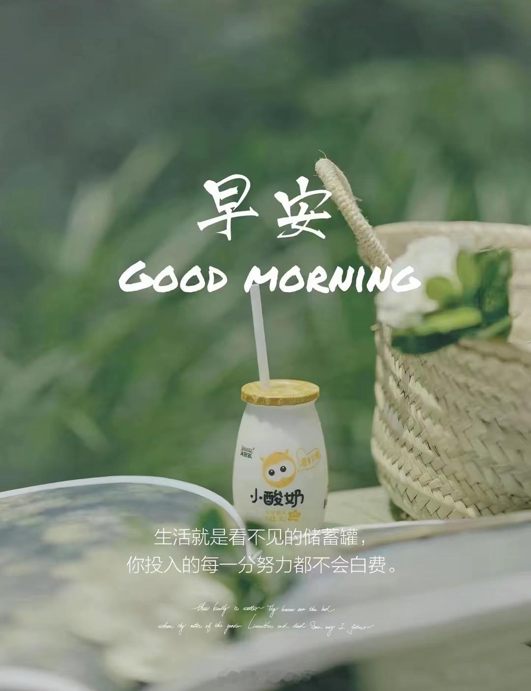 早安[超话] 早安！信任是一缕春风，它会让枯藤绽出新绿；信任是一条纽带，它连结了