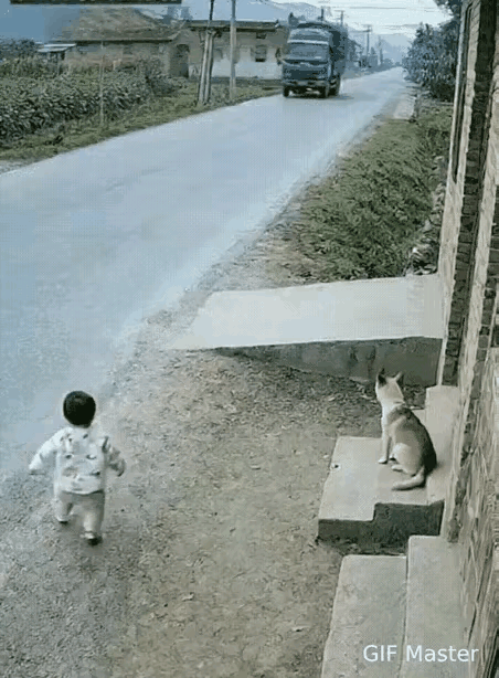 太有灵性了！如果不是监控记录下这一切，谁敢相信，那只平日里安静陪伴的狗狗，竟在千