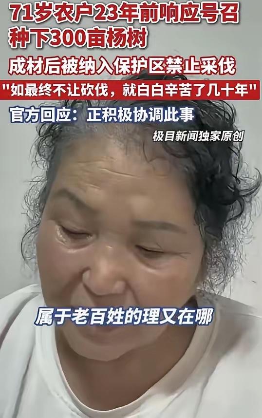 黑龙江齐齐哈尔，一71岁大妈，23年前承包了360亩地，种了3万棵手指粗的杨树，